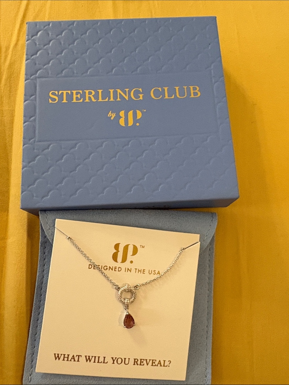 Sterling Club Silver Necklace with Red Teardrop Pendant